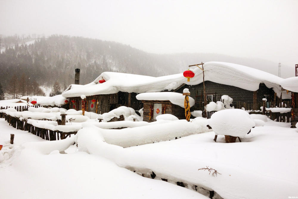 雪乡最新动态更新，雪乡现状概览