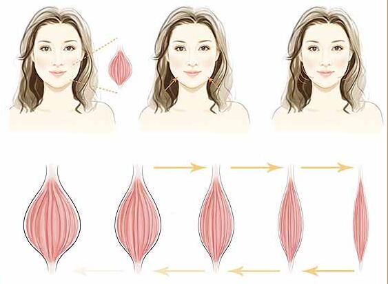 最新瘦咬肌步骤指南，打造完美脸型秘籍
