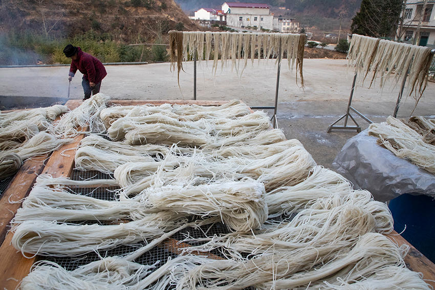 粉条价格最新行情与一场自然美景的旅行探索体验