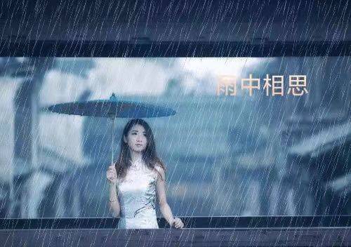 最新雨中泪深度解析，背景、事件与影响全揭秘