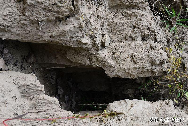 茌平博平最新动态，背景、重要事件与地位概述