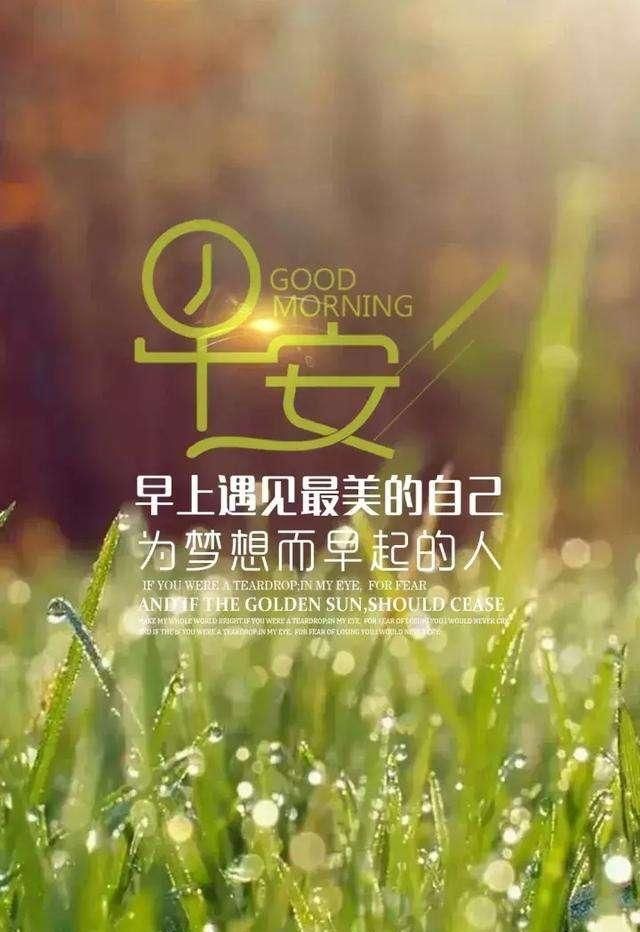 心情语录2019最新,心情语录2019最新，励志与自信，让生活充满阳光