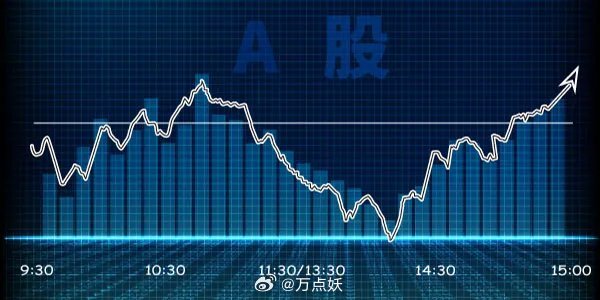 最新业绩优秀股票，市场观点与个人洞察深度解析