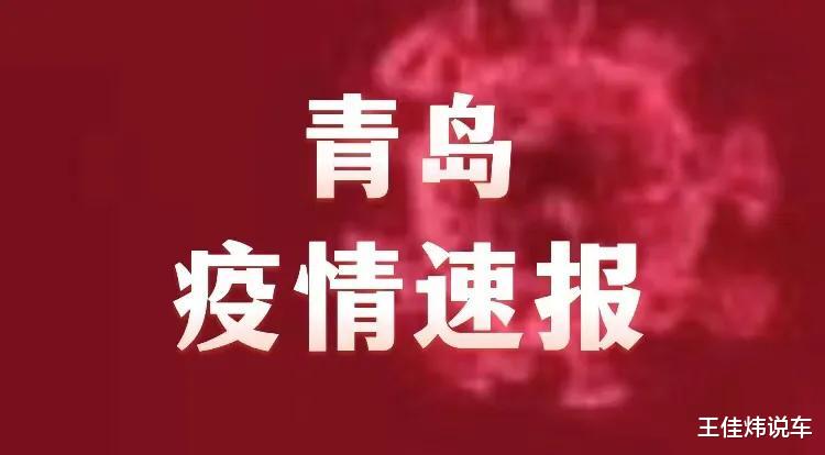 青岛疫情出行最新通知详解与观点论述