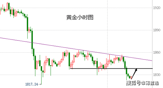 下周黄金走势最新预测分析，未来趋势展望