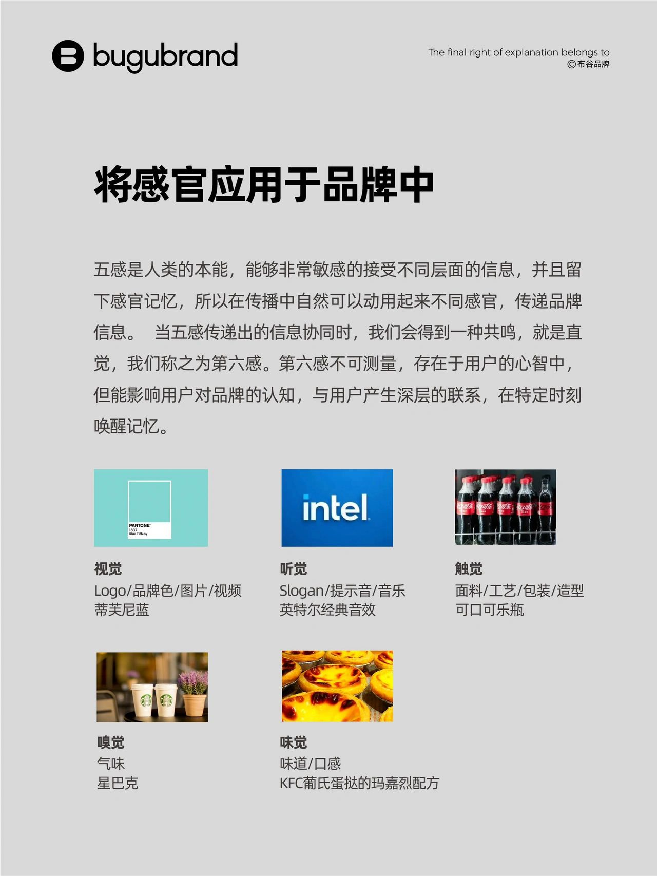 普通牌最新产品深度解析与观点阐述