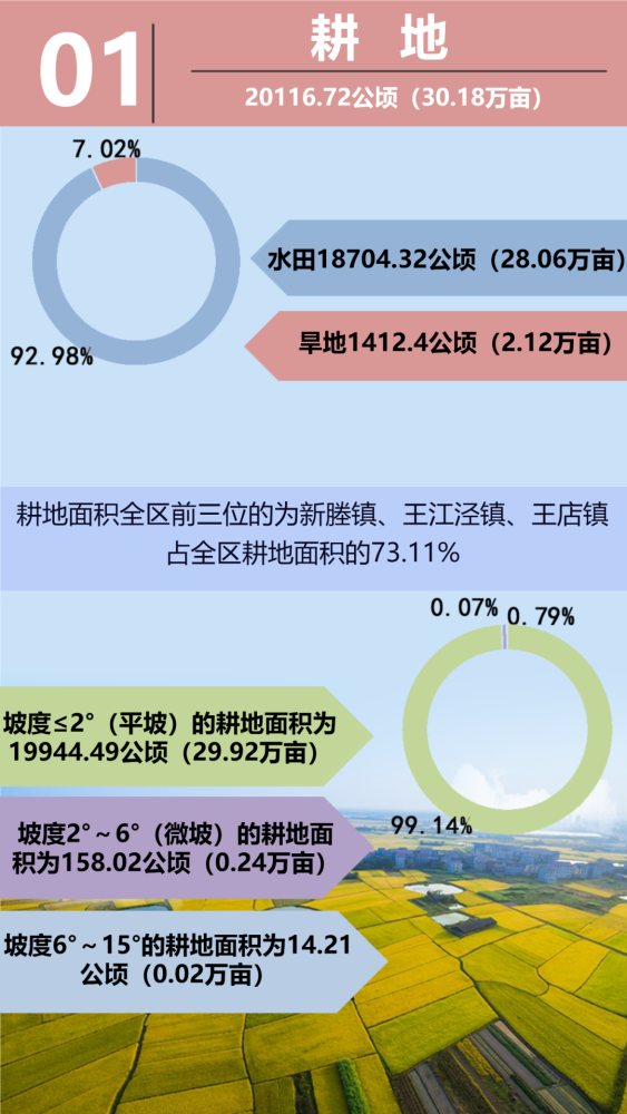 三调最新发布重磅更新！