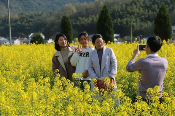 黄山最新地图解读与观点阐述