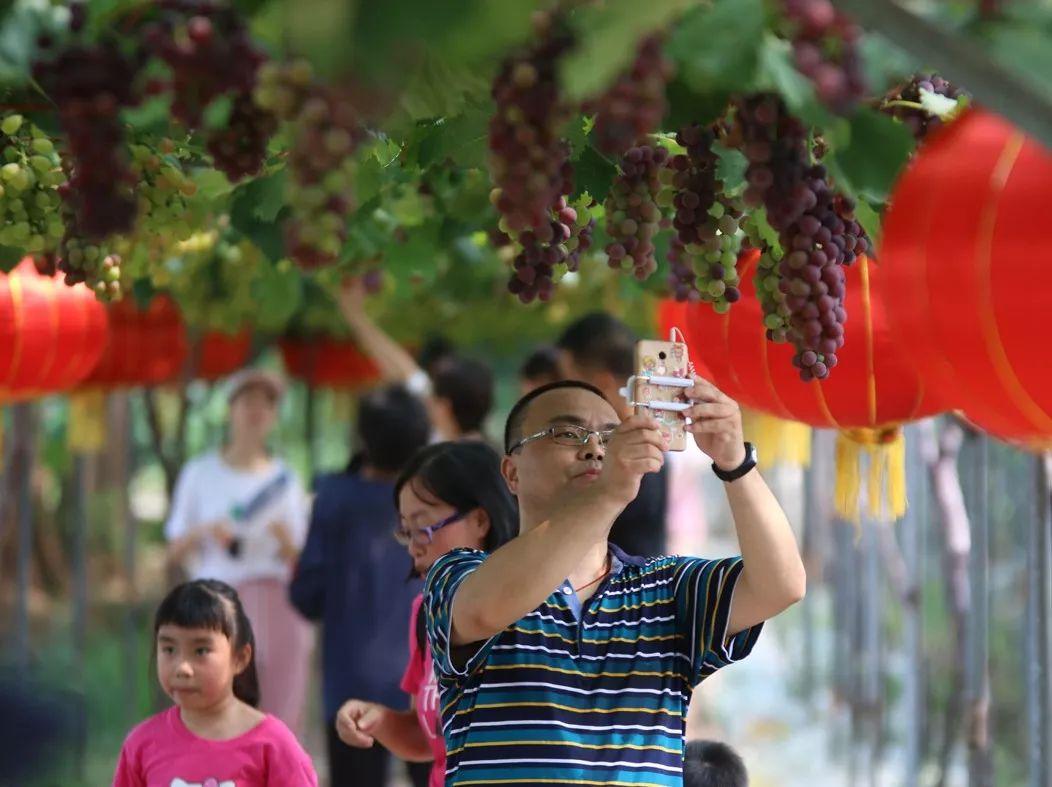 东洲最新拍地，时代背景下的土地盛宴及其深远影响纪实