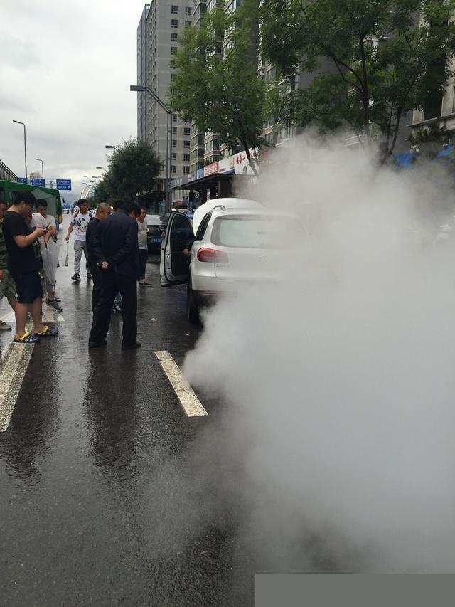 暴雨伤亡最新动态，变化中的自信与励志故事塑造