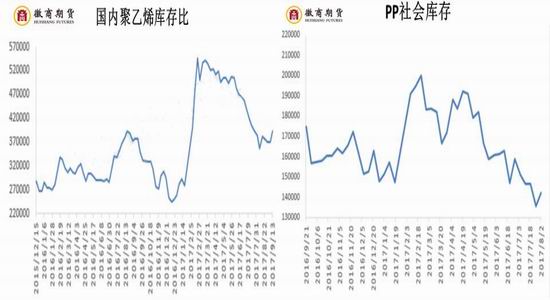 鹿茸价格分析，市场走势、品质差异及影响因素探讨