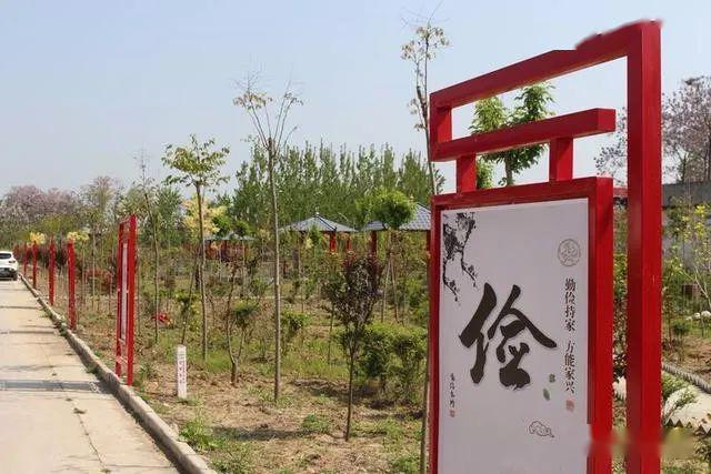 花花最新动态，时代璀璨之星的花花绽放之路
