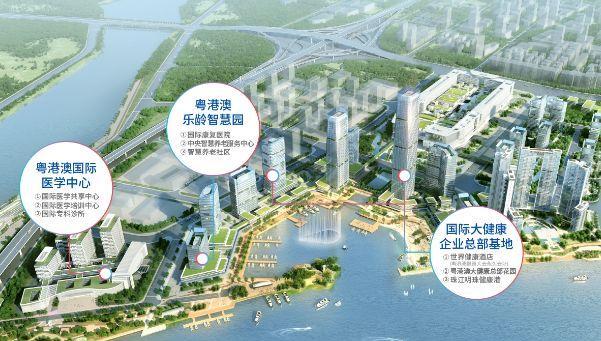 公司最新动态，创新引领铸就行业标杆，展望未来发展之路。