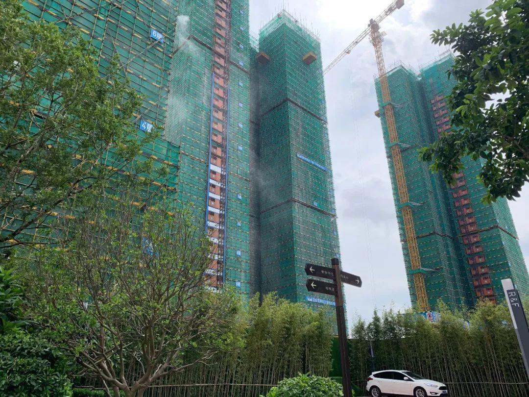 肇庆鼎湖最新一手房价揭秘，小巷深处的惊喜房源探秘