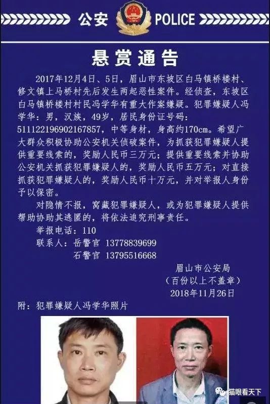 眉山市杀人事件详解，步骤指南与初级到进阶指导