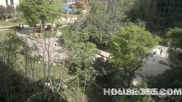 天朗蓝湖树最新房价，自然美景之旅的邀请与探索