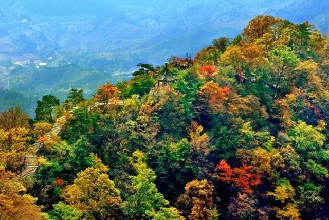 蓝田汤峪最新动态揭秘，温泉胜地的崭新面貌