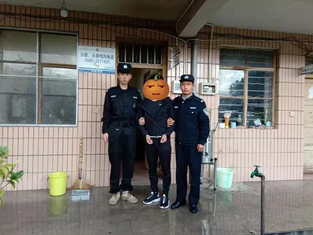 寻衅滋事司法解释最新探析与解读