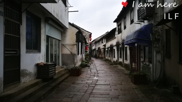 姜伯奎最新动态揭秘，小巷深处的独特风味探秘之旅