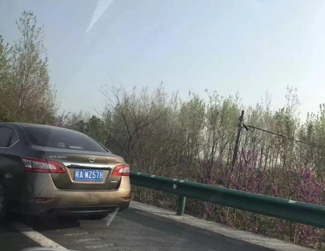 滁天高速最新动态，速度与情感的纽带